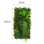 50cm x 100cm Alina Artificial Living Wall Dimensions