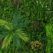 1m x 1m Alina Artificial Living Wall Panel