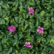 1x1m Artificial Living Wall Azalea