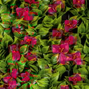 1x1m Artificial Living Wall Bougainvillea