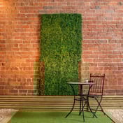 1x1m Artificial Living Wall Boxwood