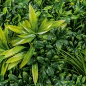 1x1m Artificial Living Wall Dracaena Ivy and Fern
