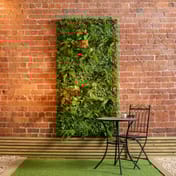 1x1m Artificial Living Wall Ivy Fern and Anthurium