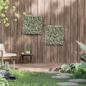 50x50cm Artificial Living Wall White Buxus