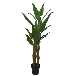 1.5m Artificial Potted Aspidistra Plant