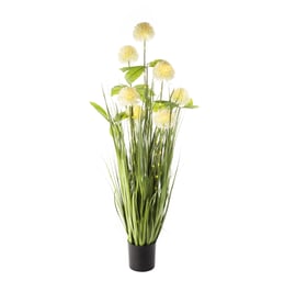 1m 40 LED Low Voltage Onion Ball in pot
