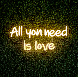 40cm LED Low Voltage Neon Wall Sign All you need is love