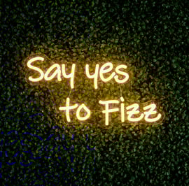 42cm LED Low Voltage Neon Wall Sign Say yes to Fizz