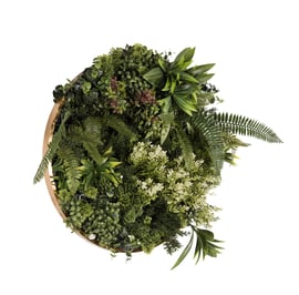 50cm Artificial Living Wall Art in Circular Frame Talia Joy