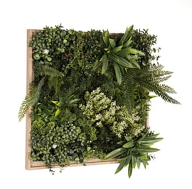 50x50cm Artificial Living Wall Art in Frame Jade Envy