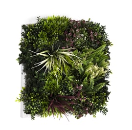 50x50cm Artificial Living Wall Art in Frame Lush Tropics