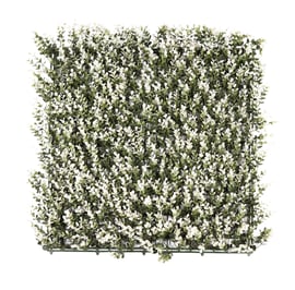 50x50cm Artificial Living Wall White Buxus