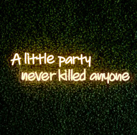 67cm LED Low Voltage Neon Wall Sign A Little party never kil anyone