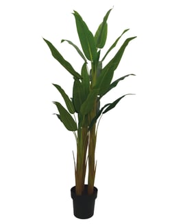 1.5m Artificial Potted Aspidistra Plant