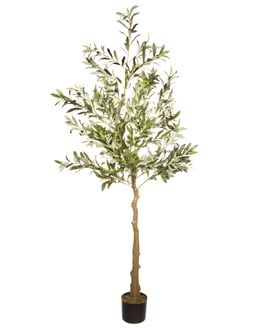 1.7m Artificial Olive Tree