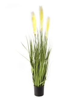 1m 13 LED Low Voltage Reed Grass in pot
