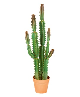 1m Artificial Potted Cereus Cactus