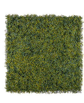 1x1m Artificial Living Wall Boxwood
