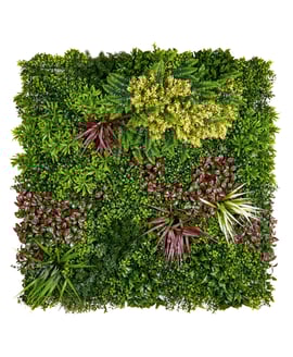 1x1m Artificial Living Wall Gardenia and Fern