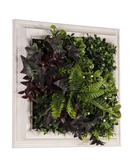 33x33cm Artificial Living Wall Art in Frame Eden Spring
