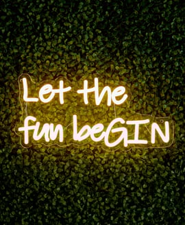 38cm LED Low Voltage Neon Wall Sign Let the fun beGIN