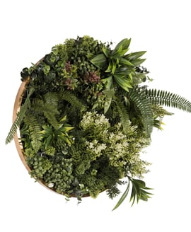 50cm Artificial Living Wall Art in Circular Frame Talia Joy