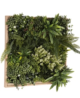 50x50cm Artificial Living Wall Art in Frame Jade Envy