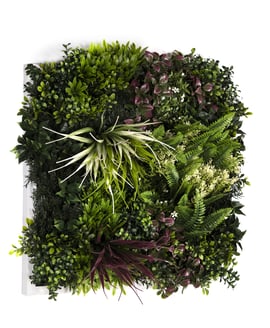 50x50cm Artificial Living Wall Art in Frame Lush Tropics