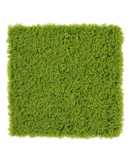 50x50cm Artificial Living Wall Moss