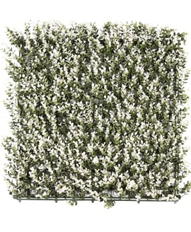 50x50cm Artificial Living Wall White Buxus