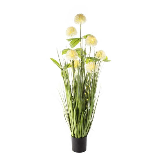 1m 40 LED Low Voltage Onion Ball in pot