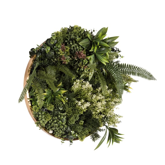 50cm Artificial Living Wall Art in Circular Frame Talia Joy