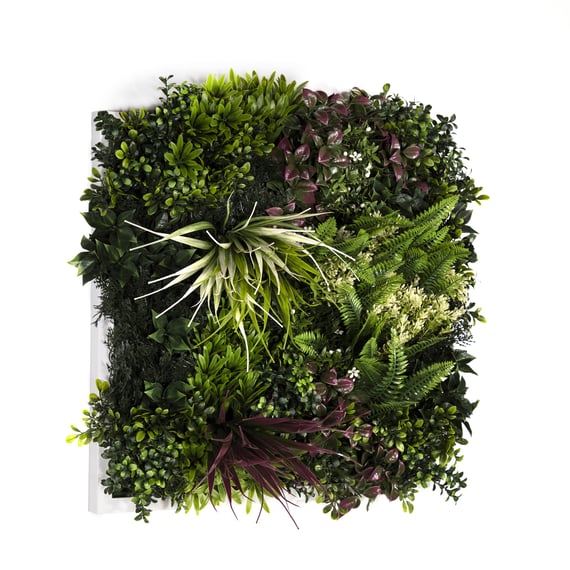 50x50cm Artificial Living Wall Art in Frame Lush Tropics