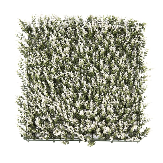 50x50cm Artificial Living Wall White Buxus