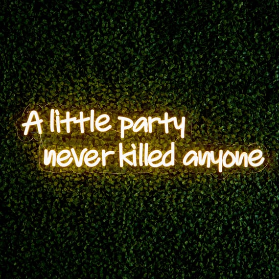 67cm LED Low Voltage Neon Wall Sign - A Little party never kil anyone