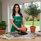 How to pot your artificial plants