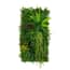 50cm x 100cm Alina Artificial Green Wall