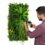 50cm x 100cm Alina Artificial Living Wall Easy Fit