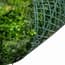50cm x 100cm Alina Artificial Living Wall Backing