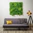 1x1m Artificial Living Wall Dracaena Ivy and Fern
